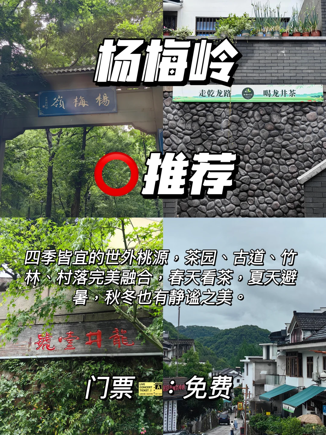 杭州旅游红黑榜｜不踩雷！不花冤枉钱🔥