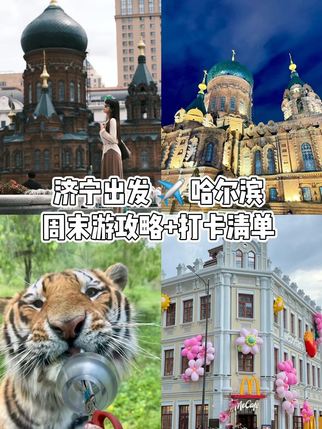 山东济宁→哈尔滨周末闪现！吃逛拍全路线📸