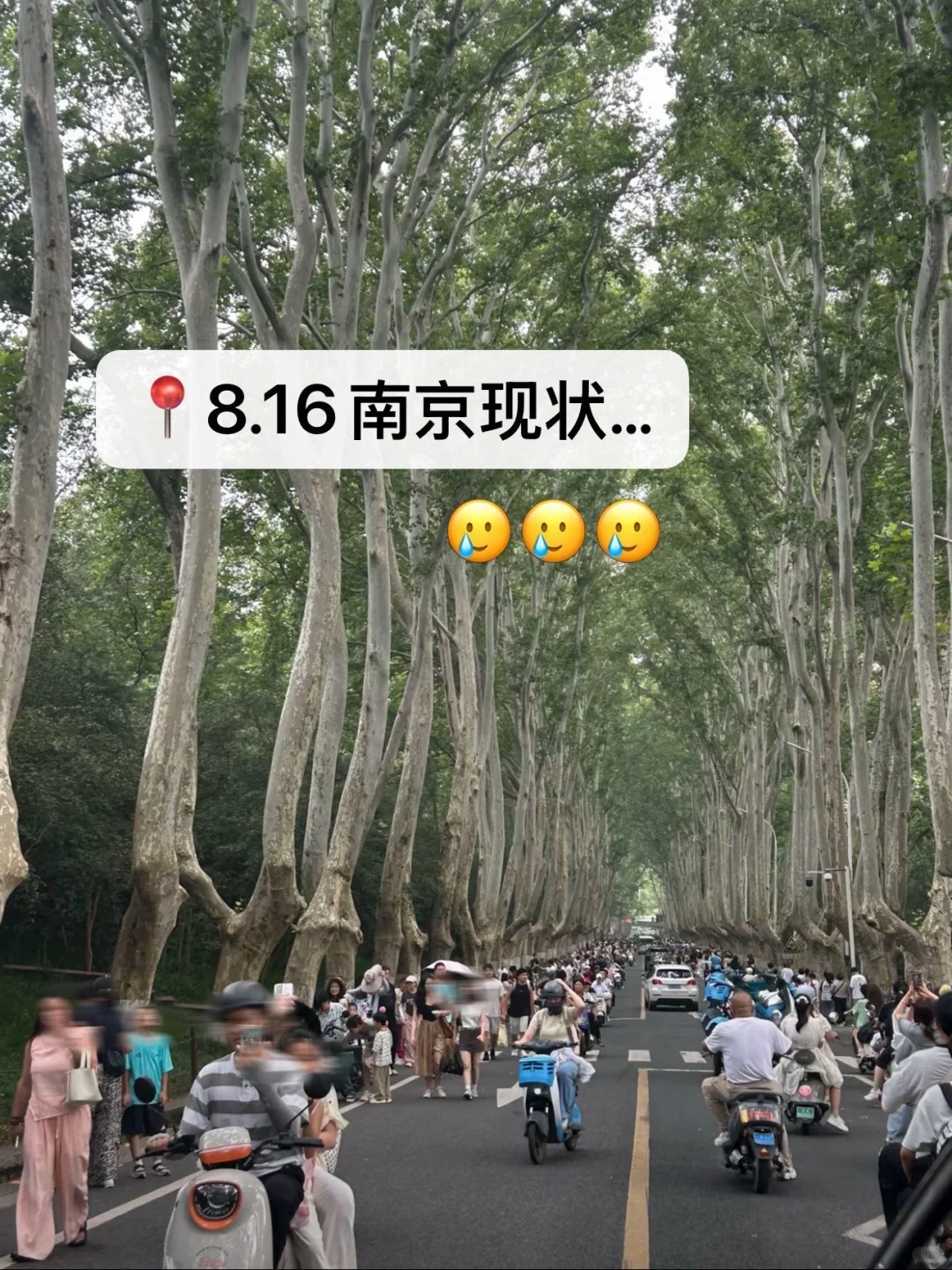 📍8.16南京已回🥹我的建议是…