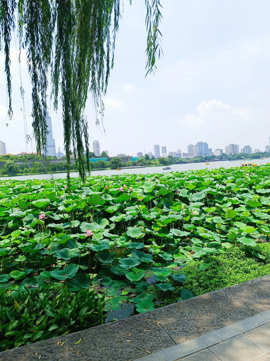 在南京逛了三天，我只想说一句
