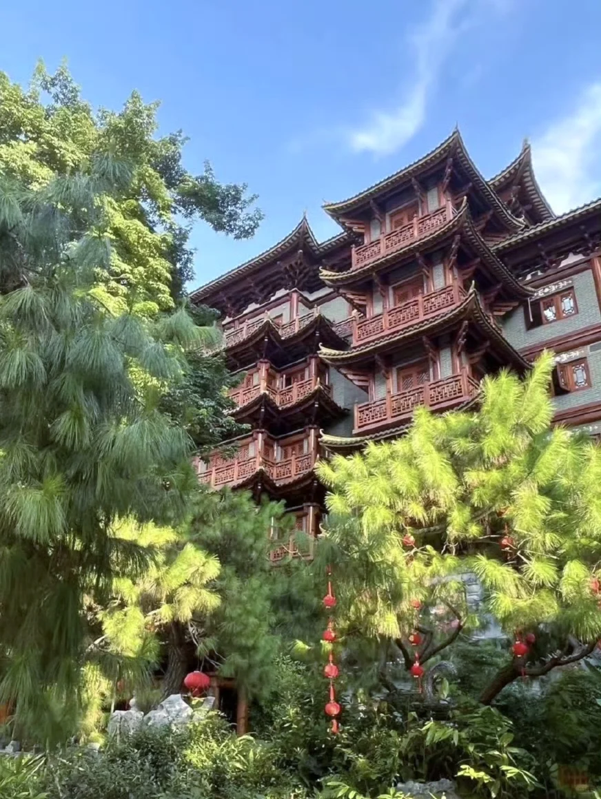 04女大独自南下📍广州三日游|路线分享~