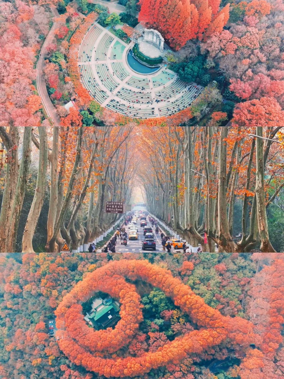 📍南京3天2晚全攻略｜附详细路线+打卡机位📸