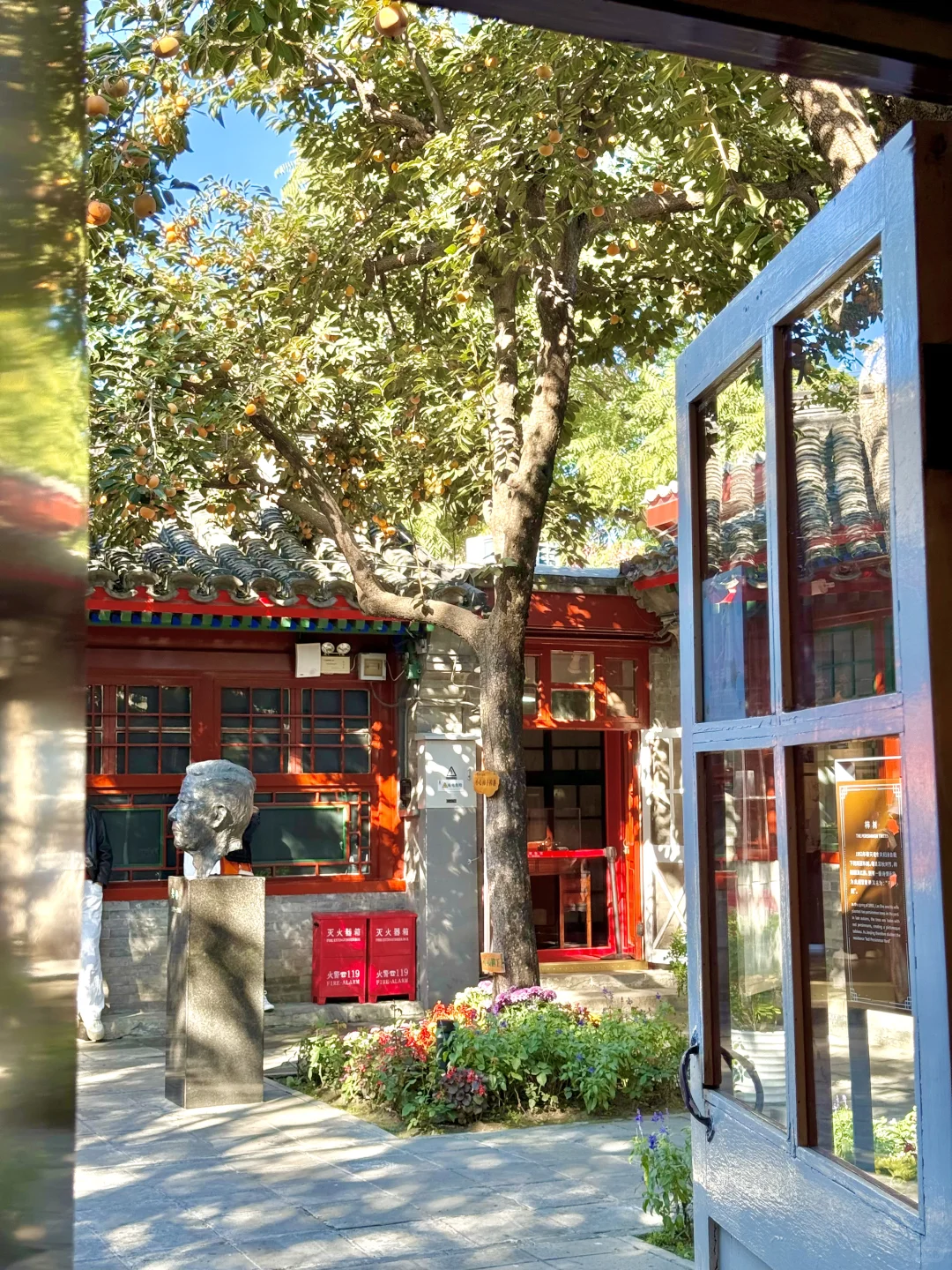 Live | 北京的秋天真的拍不完！