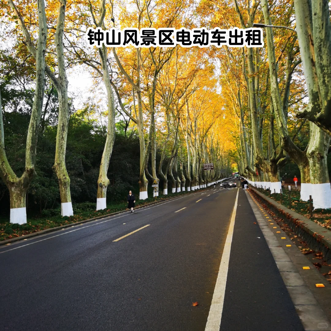来钟山风景区，必进的帖子❗❗❗