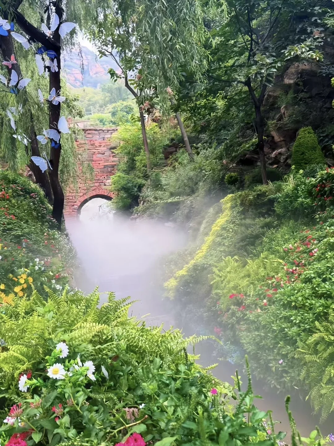 邯郸出发两小时｜寨子开花了🌷