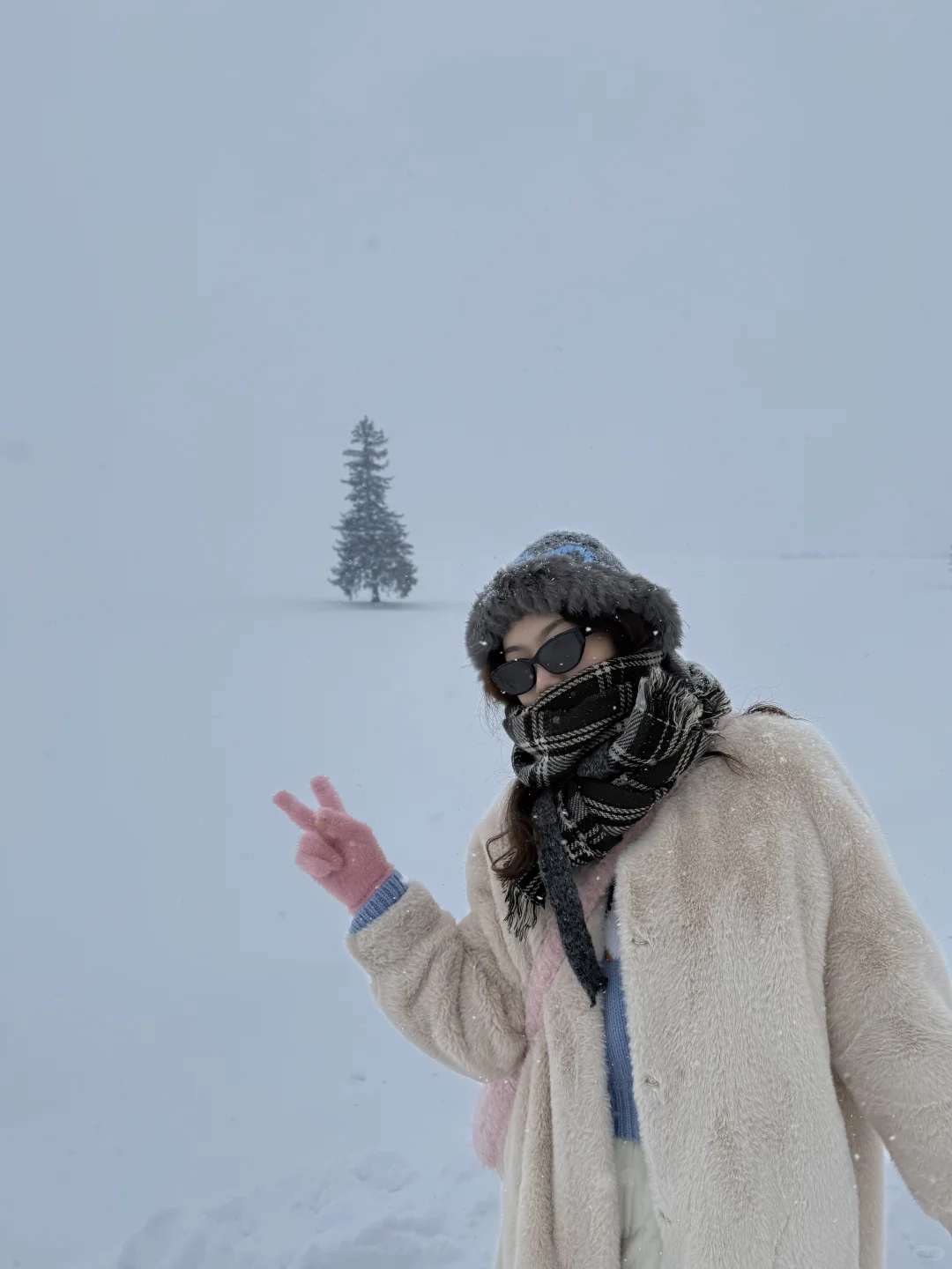 个人认为，北海道🇯🇵最佳旅游季就是1️⃣月！