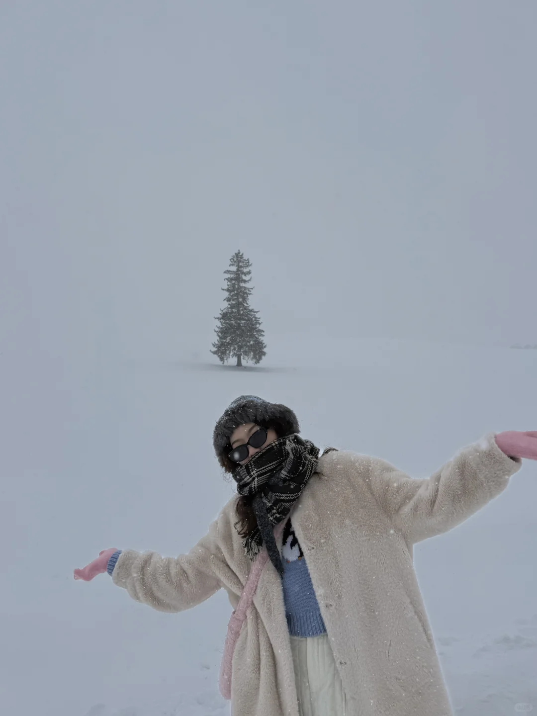 个人认为，北海道🇯🇵最佳旅游季就是1️⃣月！