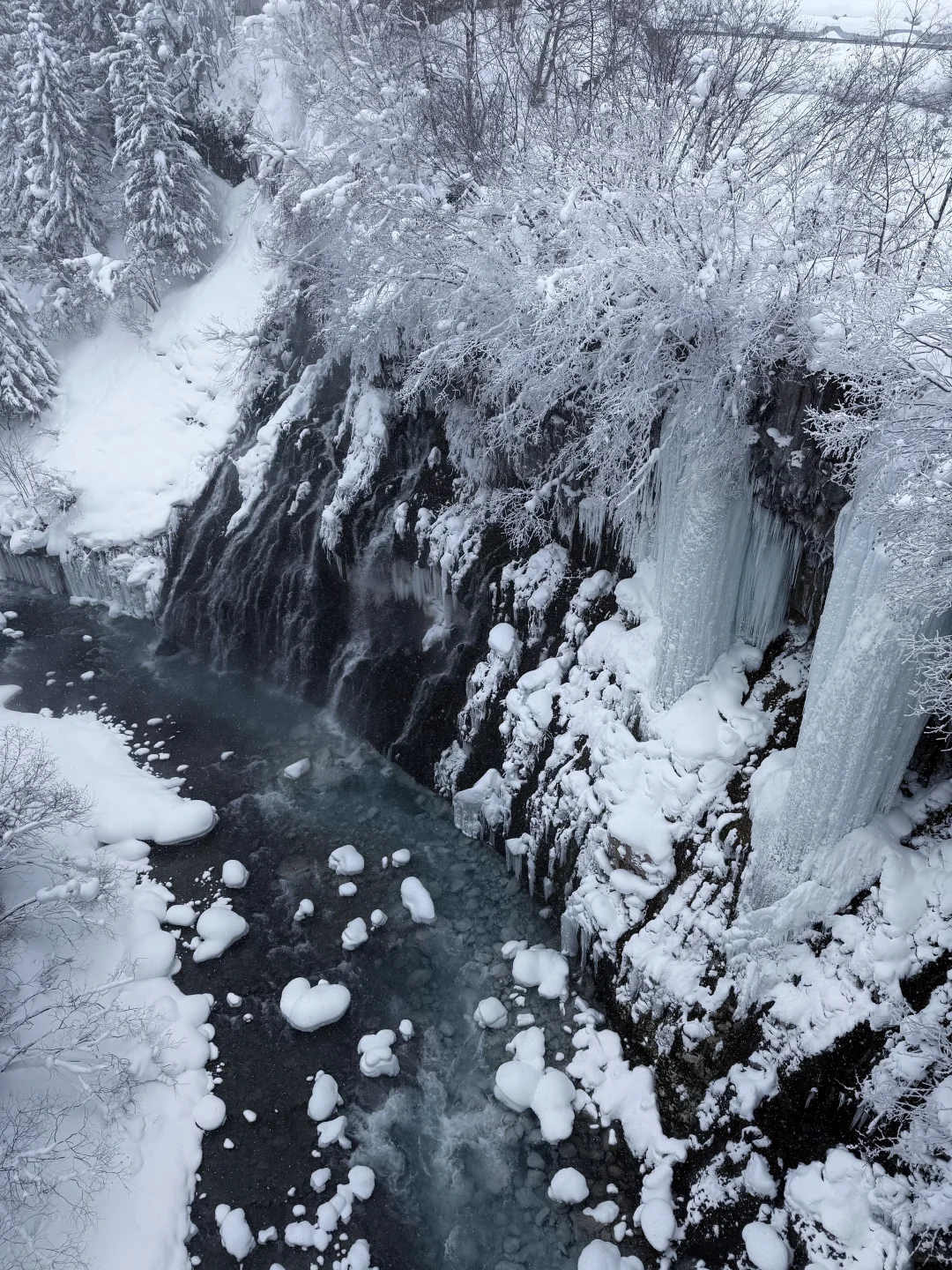 个人认为，北海道🇯🇵最佳旅游季就是1️⃣月！