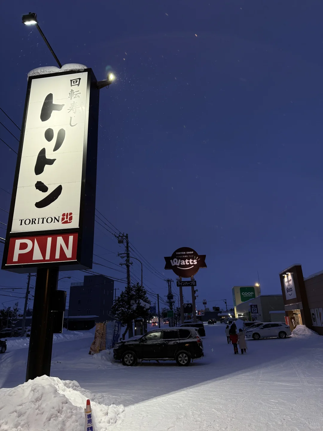 个人认为，北海道🇯🇵最佳旅游季就是1️⃣月！