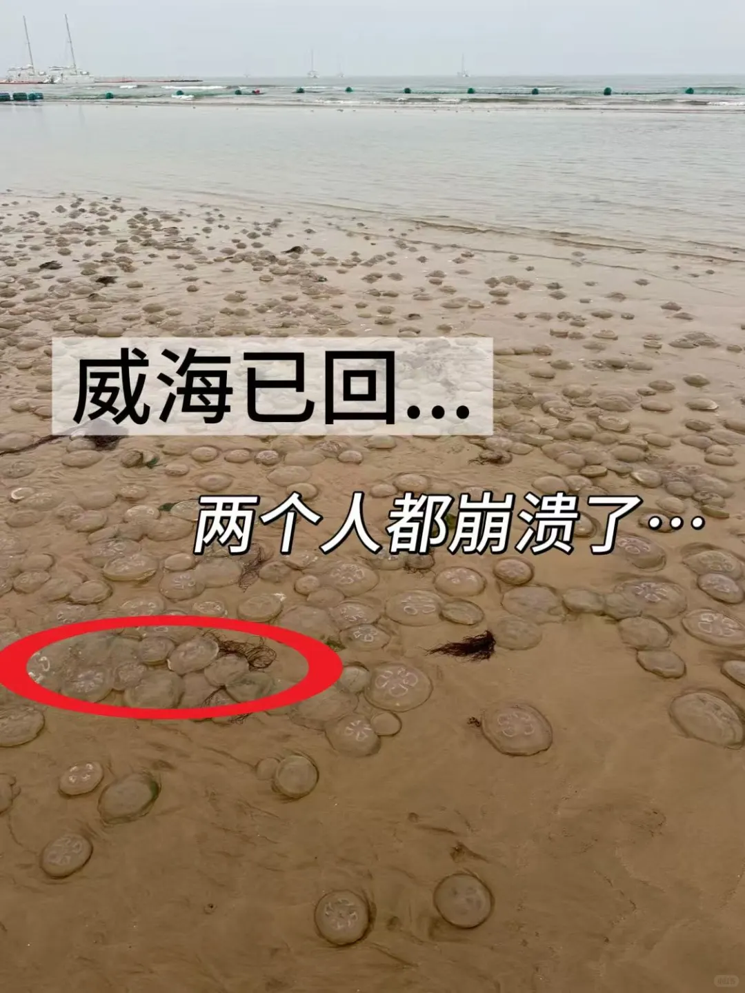 威海现状……衣服没带对真的心碎了😭?