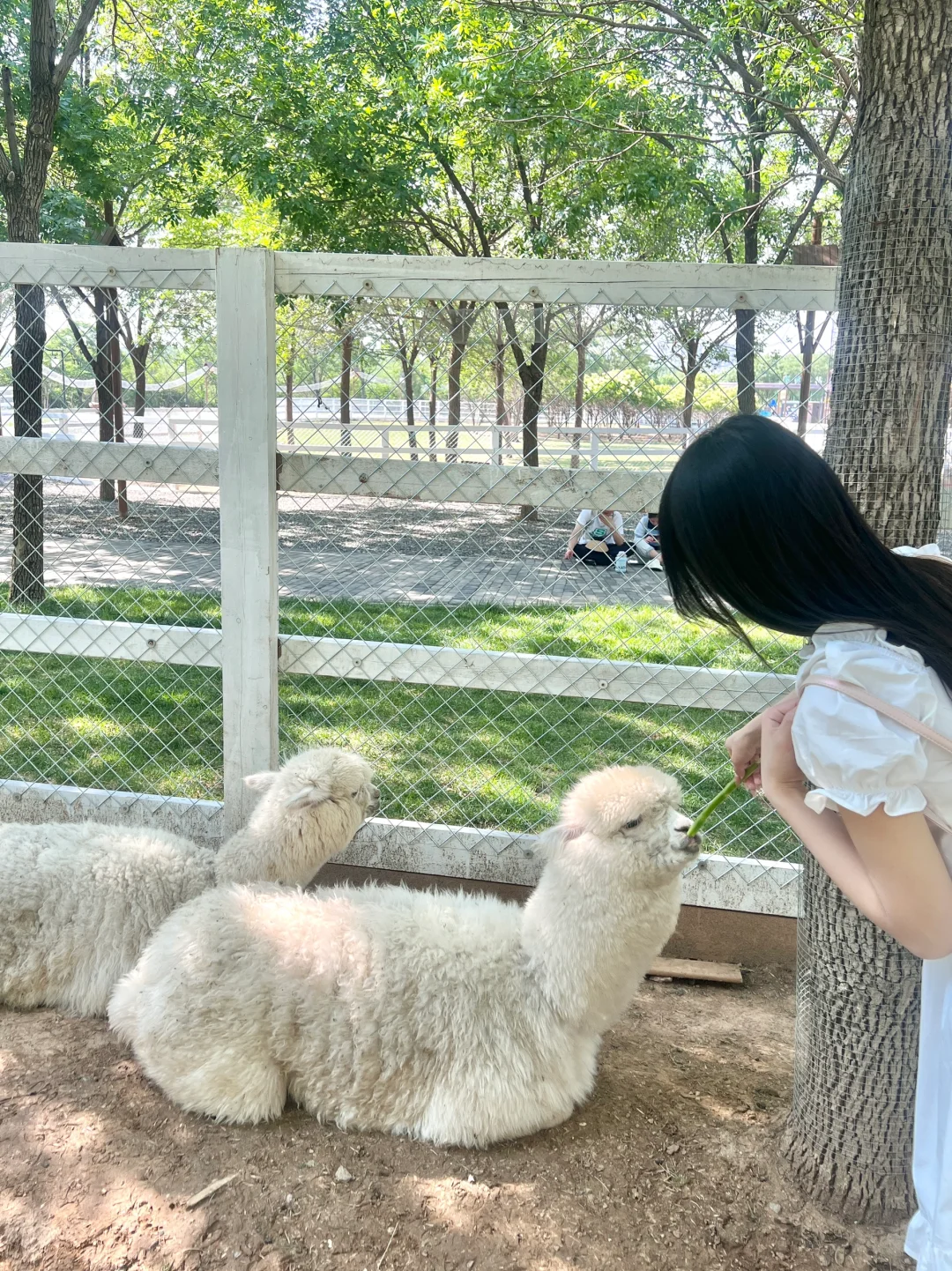 邯郸📍 宝藏打卡拍照好去处🍃～