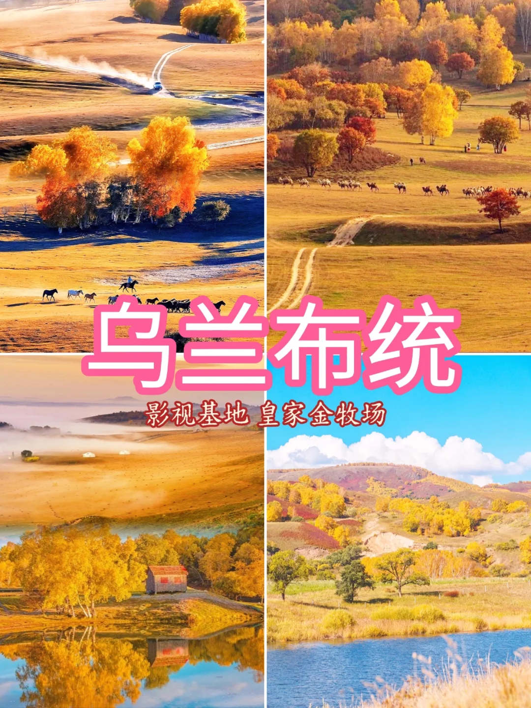 # 国内最值得去的9个秋景地 🍁 📸