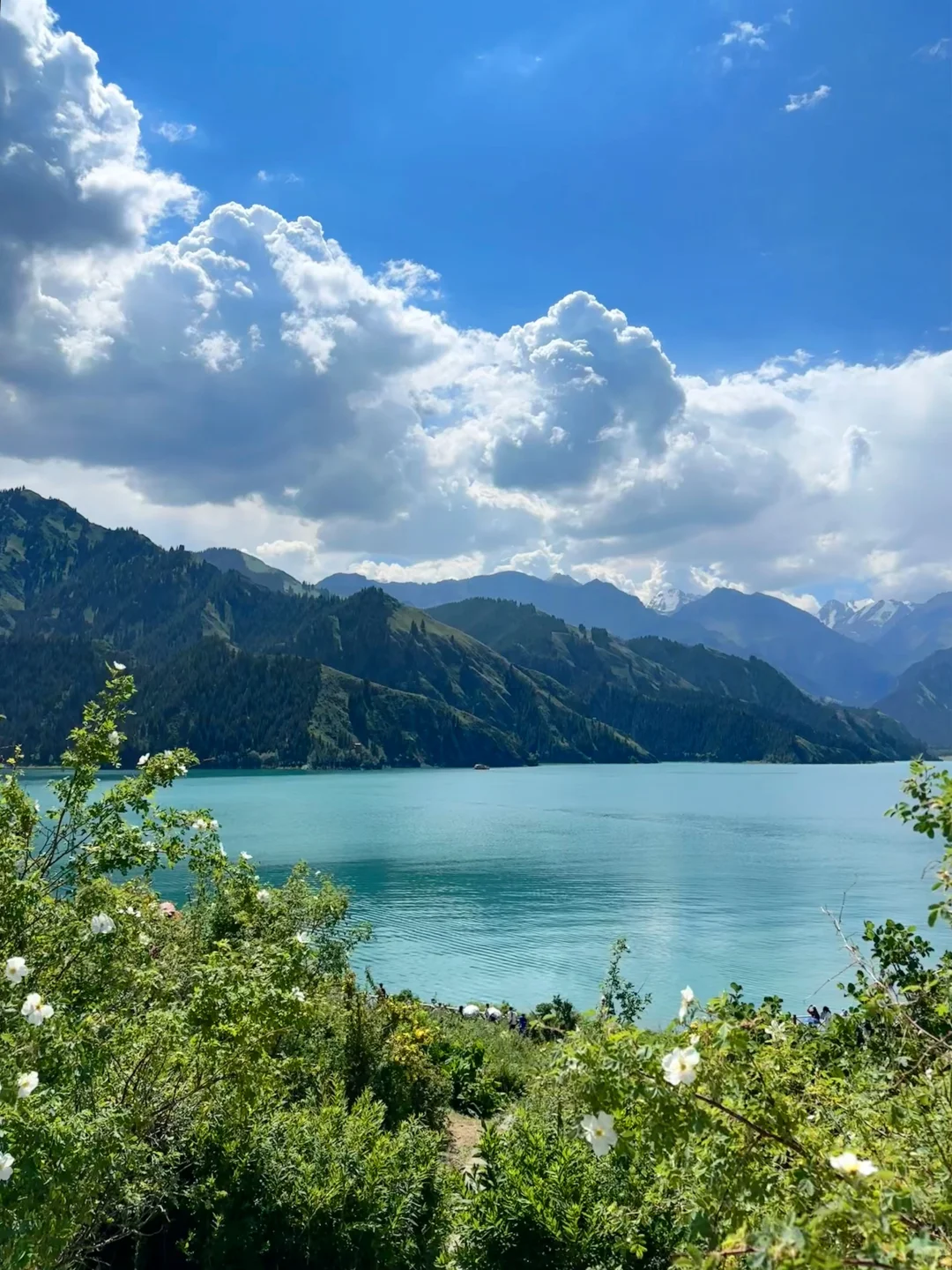 新疆伊犁线🏔️｜七天六晚旅游攻略🐑