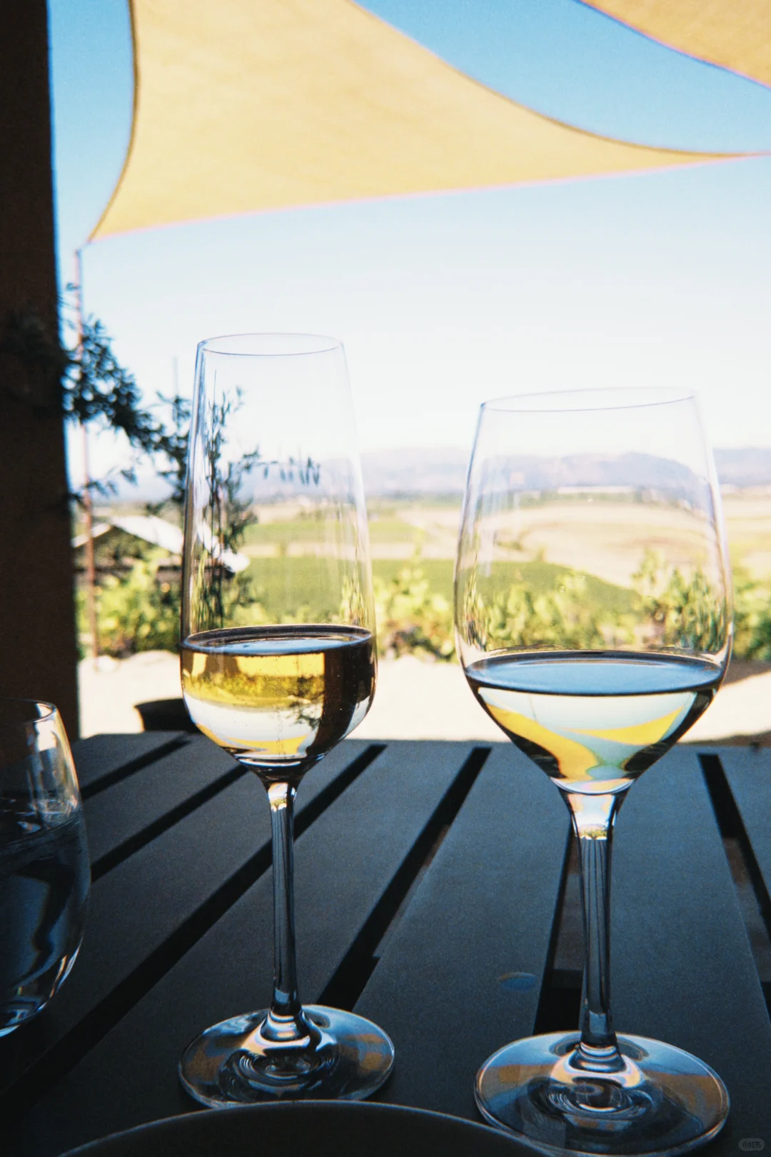 湾区周末 ｜ Sonoma酒庄Viansa Winery
