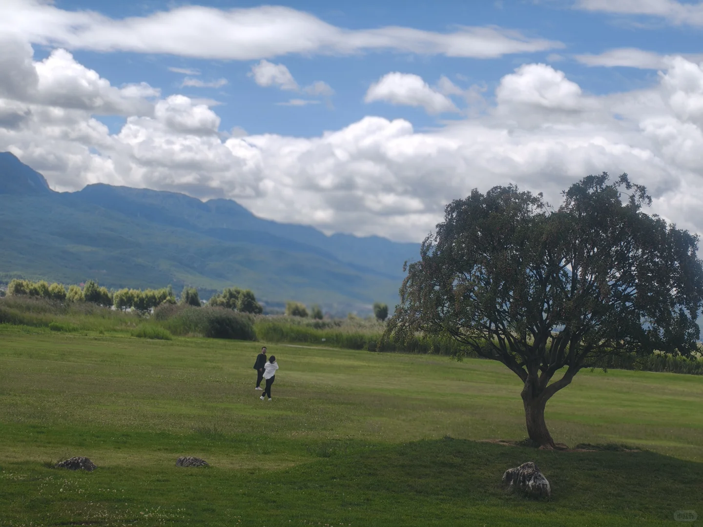 在美泉村候鸟湾看到像画一样的风景⛰️