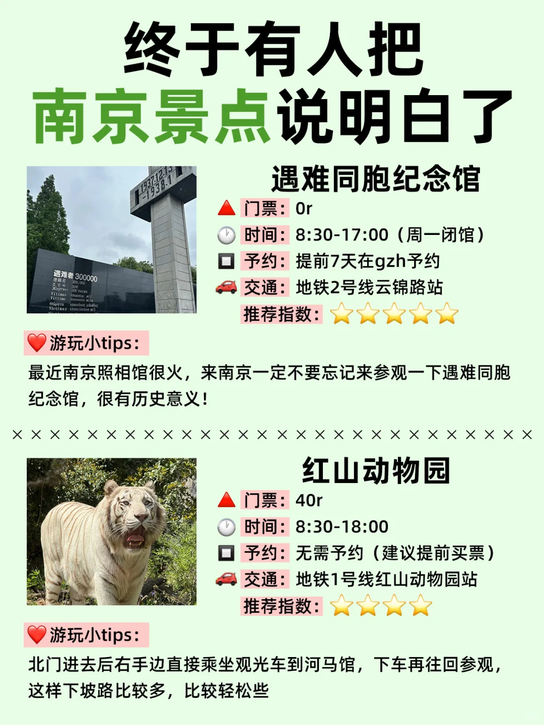 🌟南京景点大揭秘！终于玩明白了！！