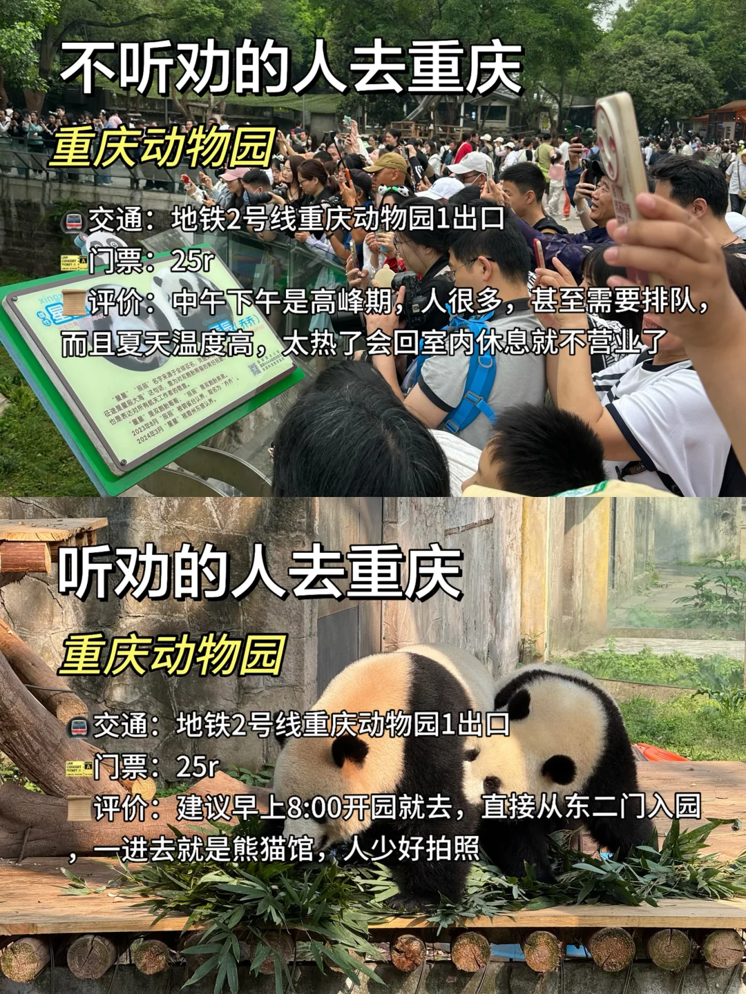 来重庆热门景点的打卡方式‼️不听劝🆚听劝