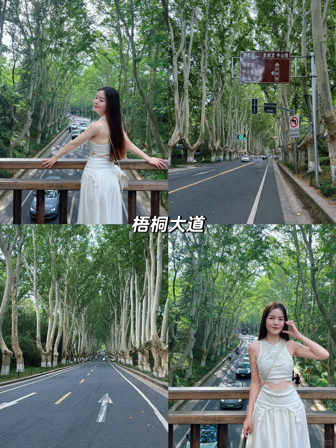 南京3天2晚旅游攻略 用心整理的超详细路线
