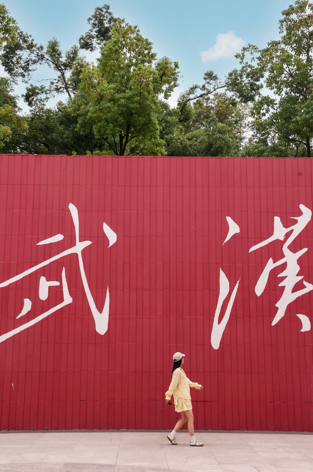为了这18张照片，我专门飞了一趟武汉……