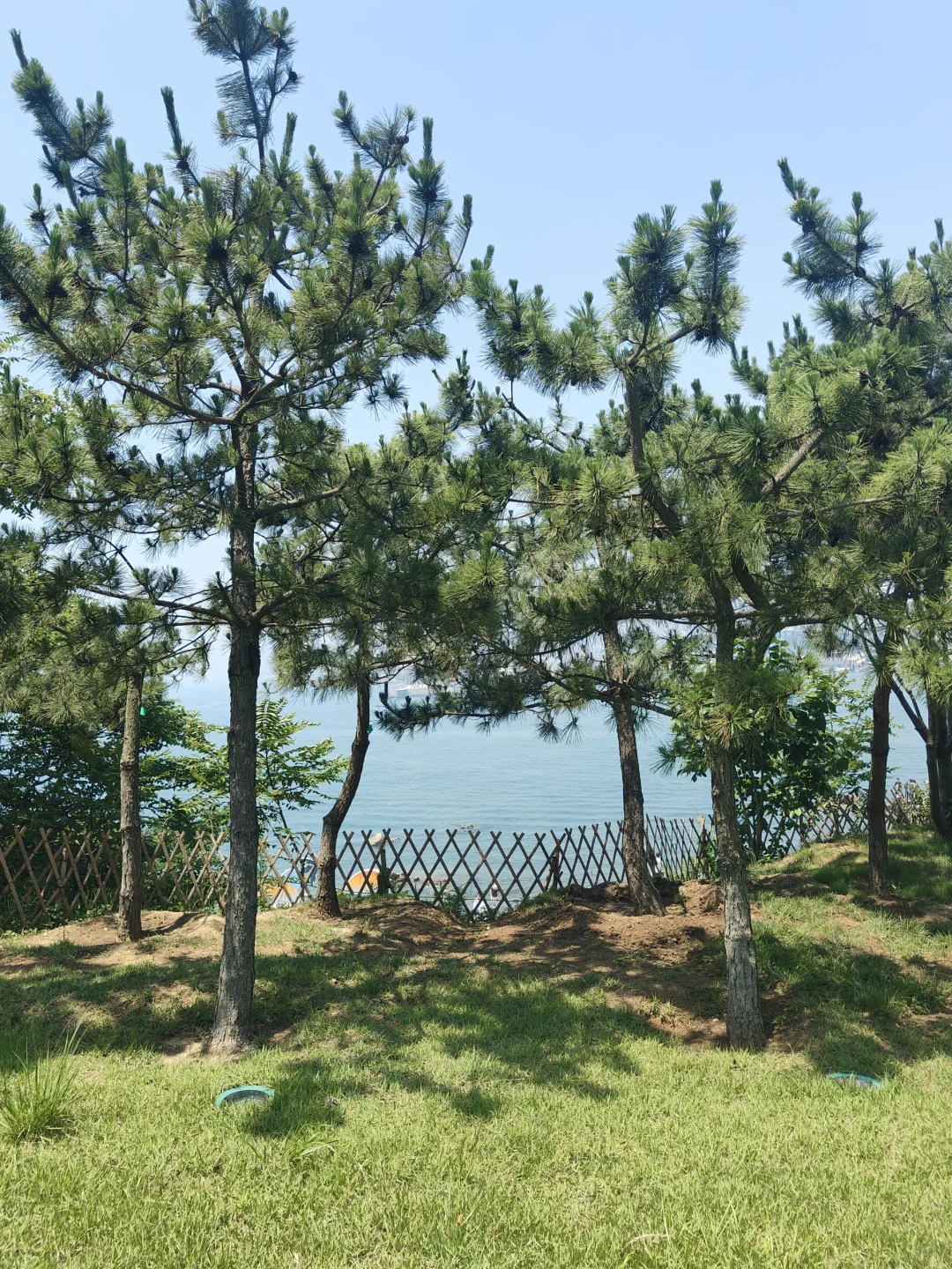 要去青岛的看过来!