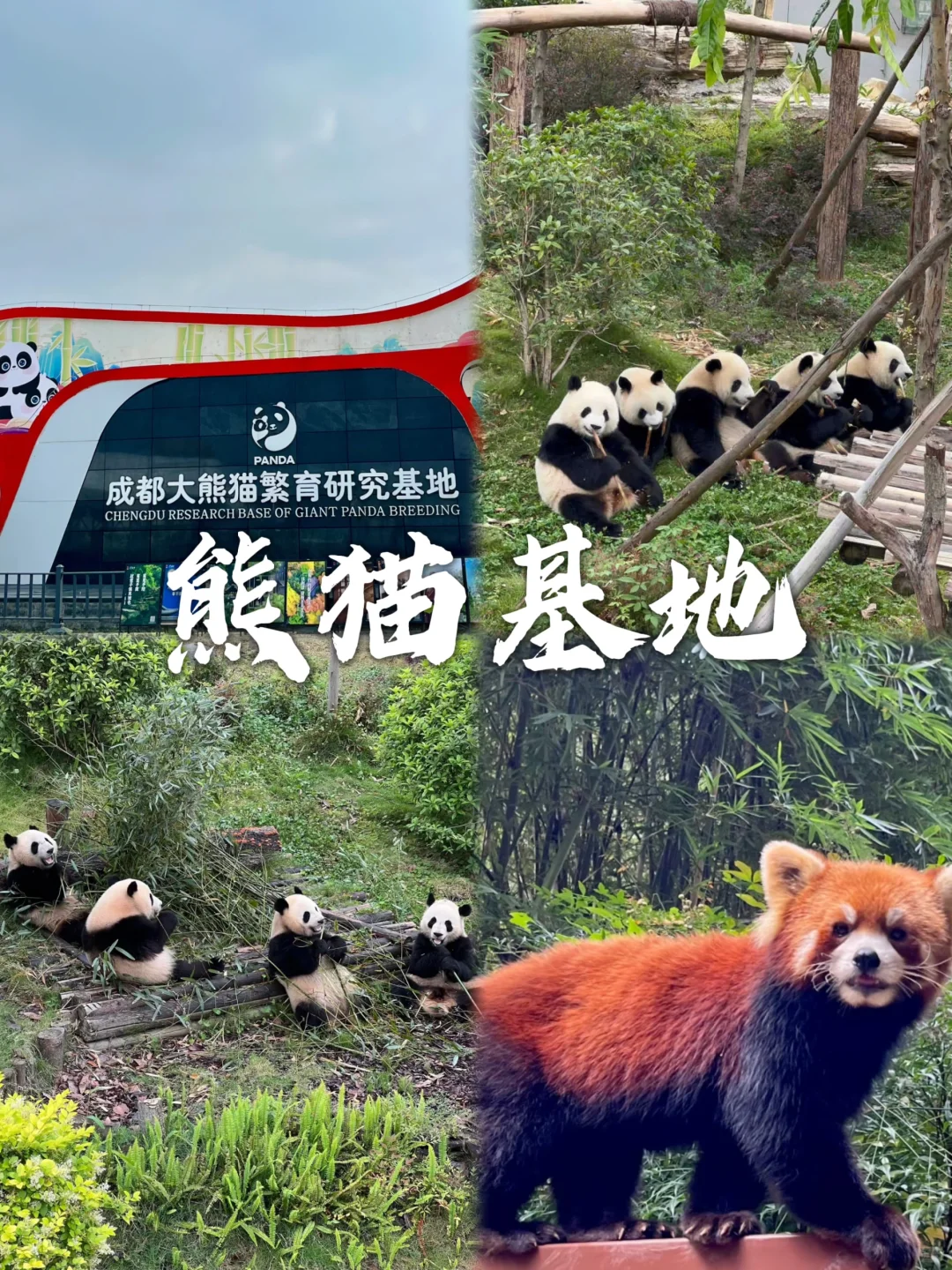 成都这九个地方，你都去打卡了吗？