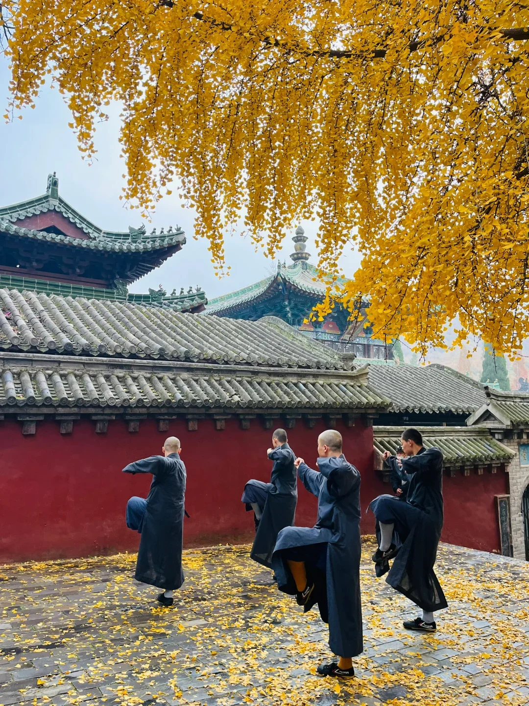 今年国庆我只带娃去一个地方：河南！🤩
