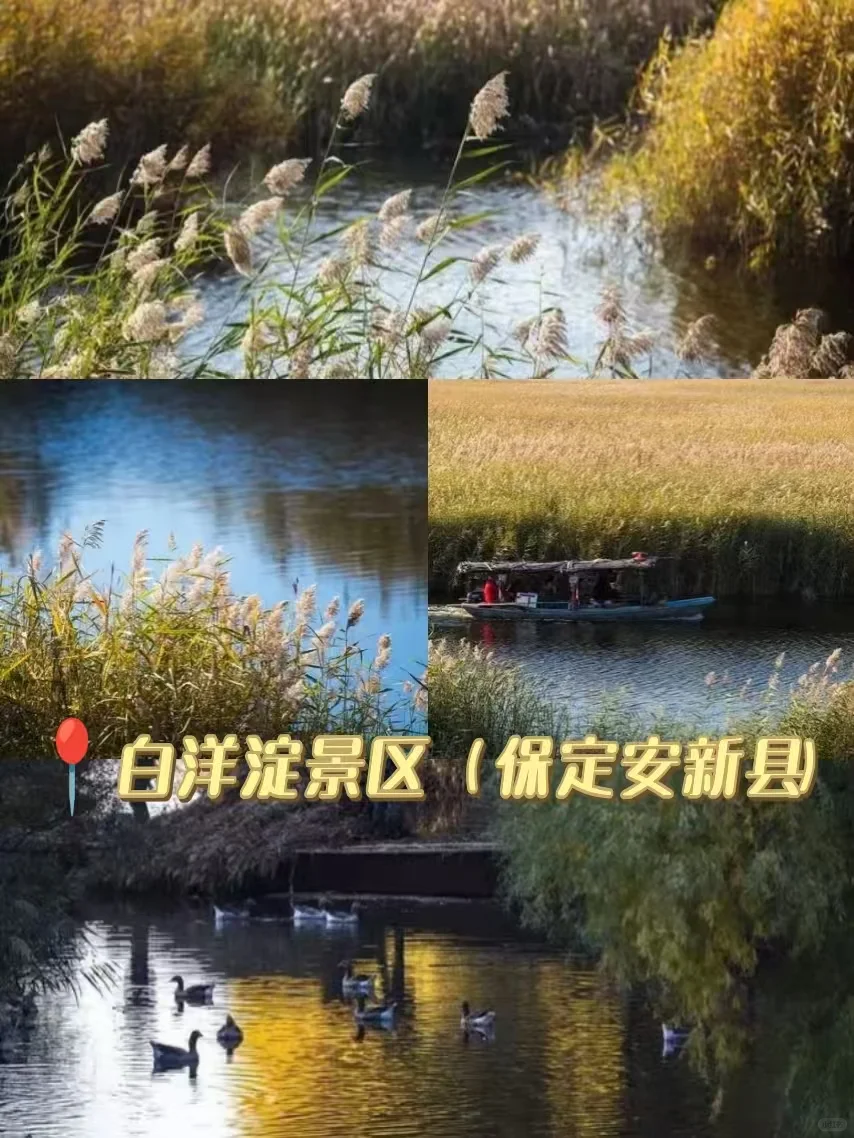 河大小伙伴集合！7个宝藏地点承包周末✨