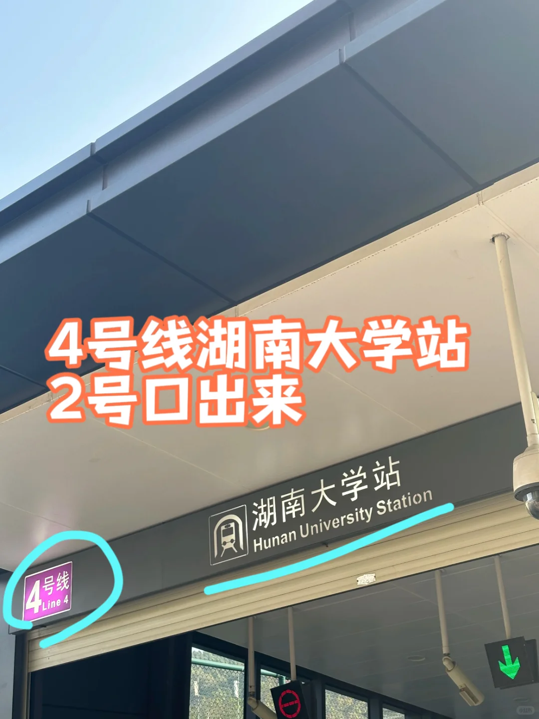 岳麓山南进难免爬山攻略