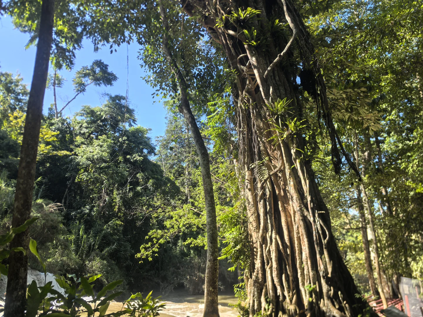 🌺 琅勃拉邦关西瀑布骑行攻略 | 小众自由