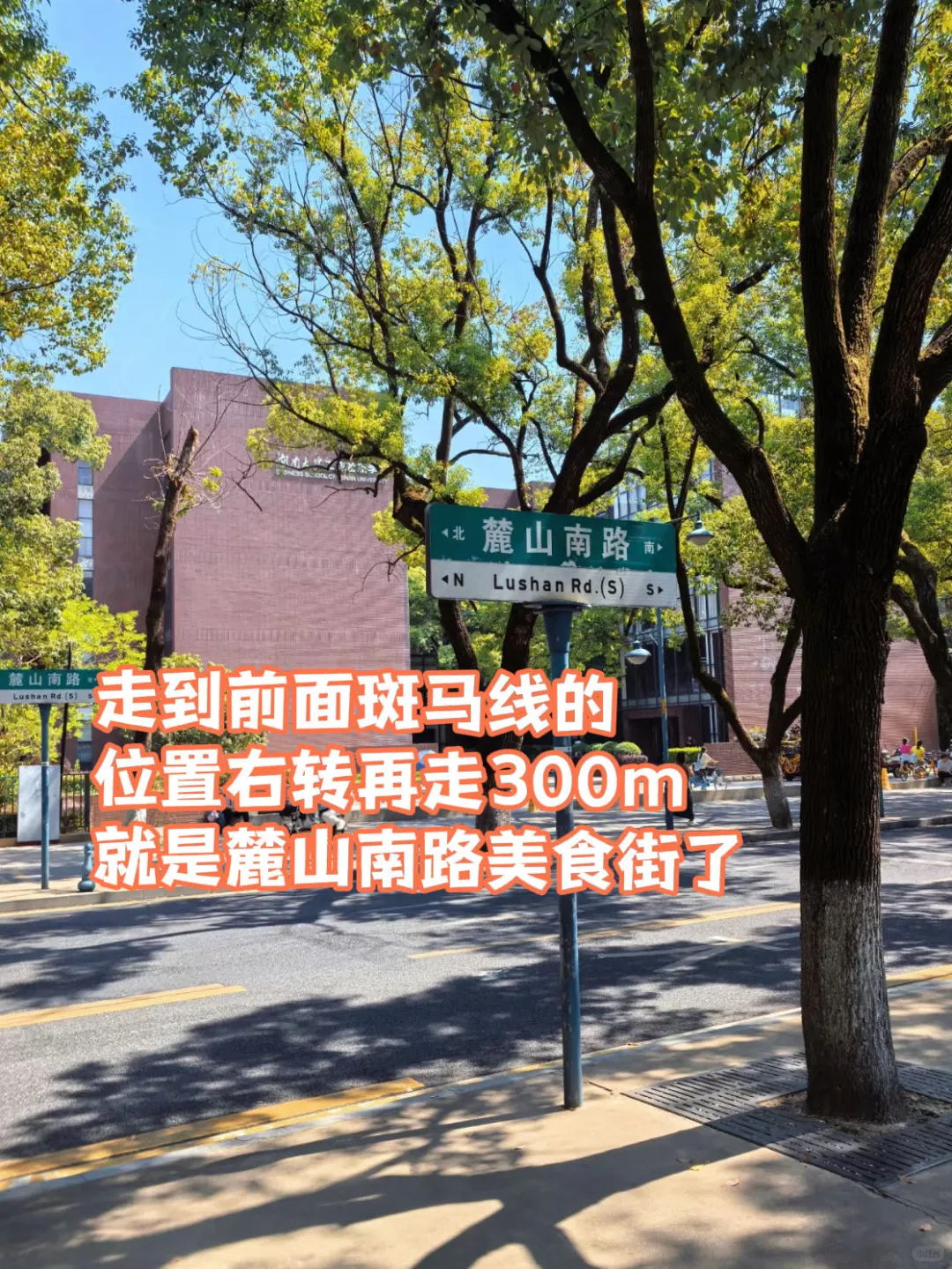 岳麓山南进难免爬山攻略