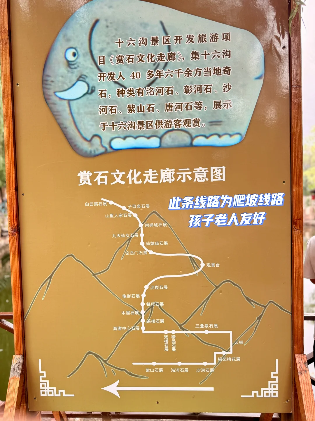 谁懂啊居然💰19.9解锁爬山+小江南+绿野仙踪