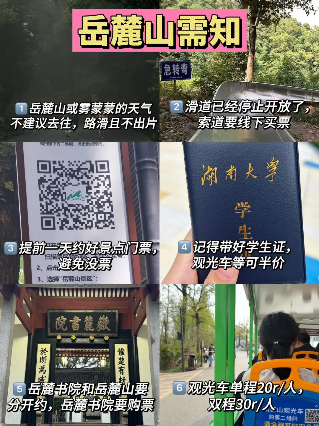 岳麓山南进难免爬山攻略