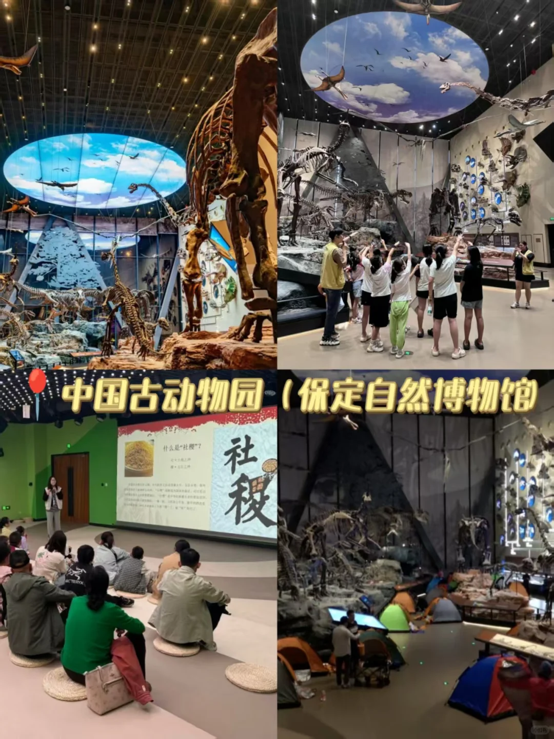 河大小伙伴集合！7个宝藏地点承包周末✨