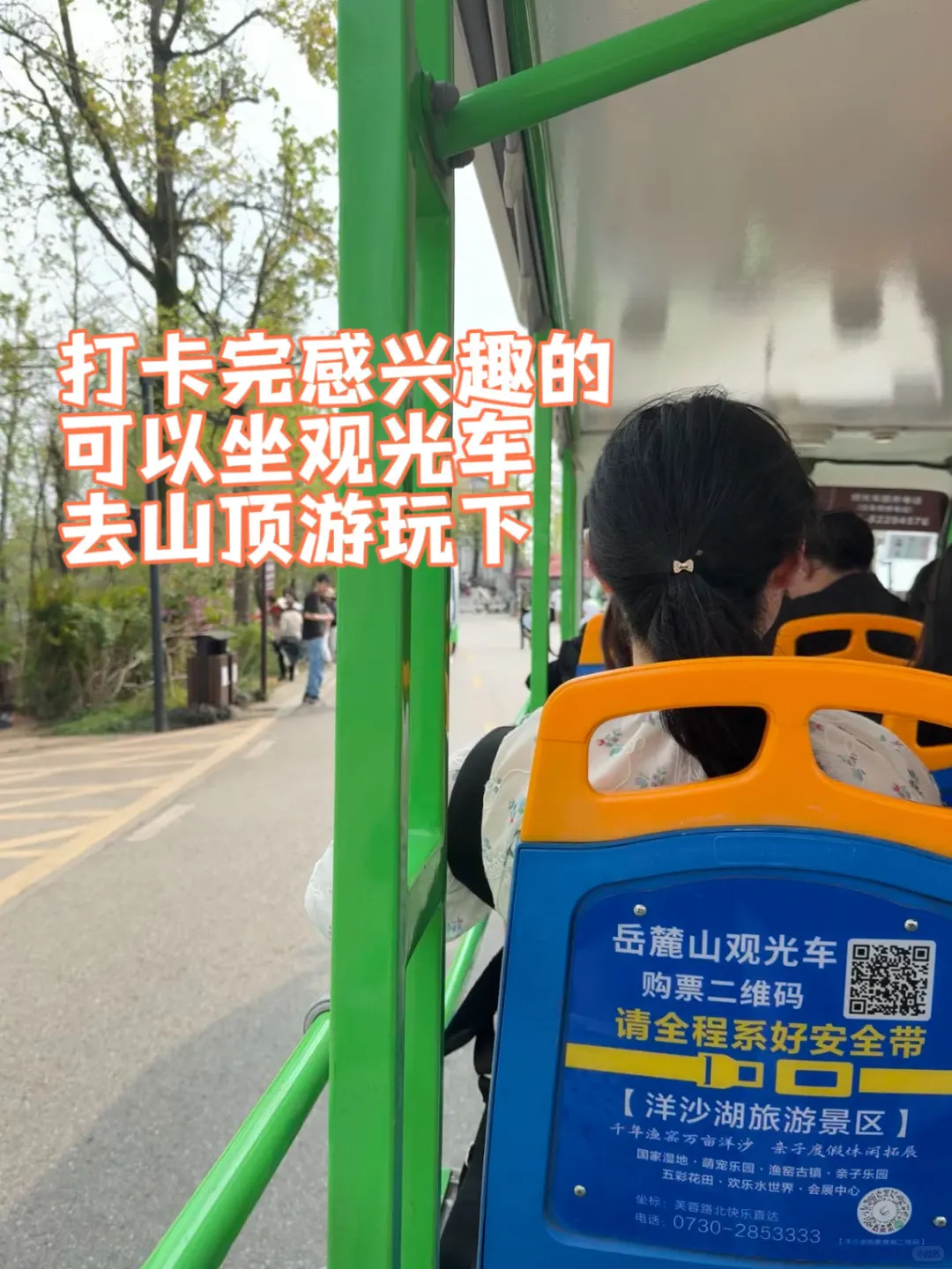 岳麓山南进难免爬山攻略