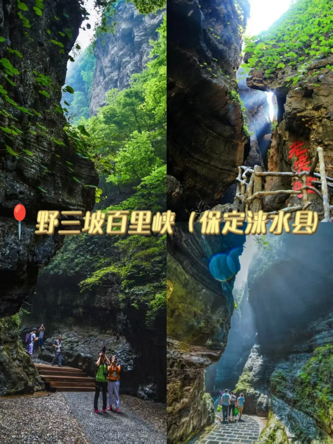 河大小伙伴集合！7个宝藏地点承包周末✨