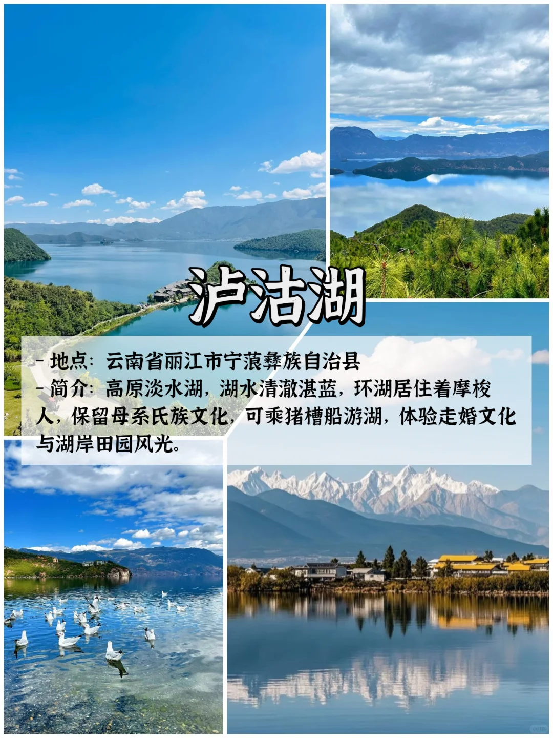 🌿云南9大宝藏景点｜旅行必打卡清单✨