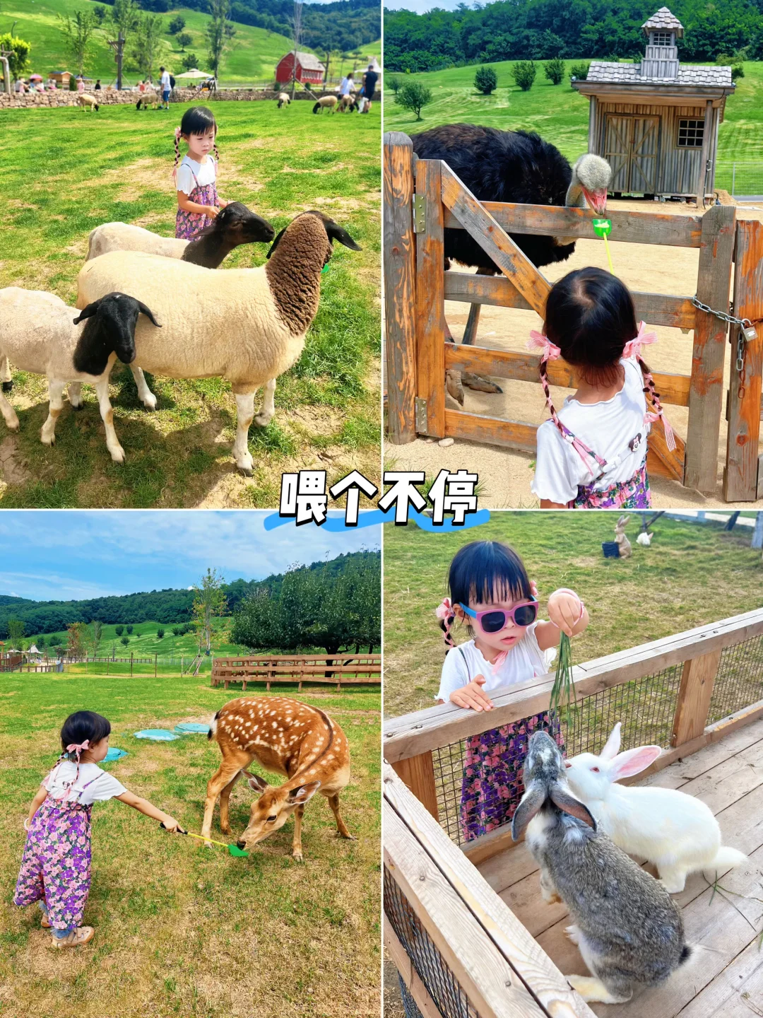 沈阳遛娃｜云端草原霍比特小屋！玩到不想走！
