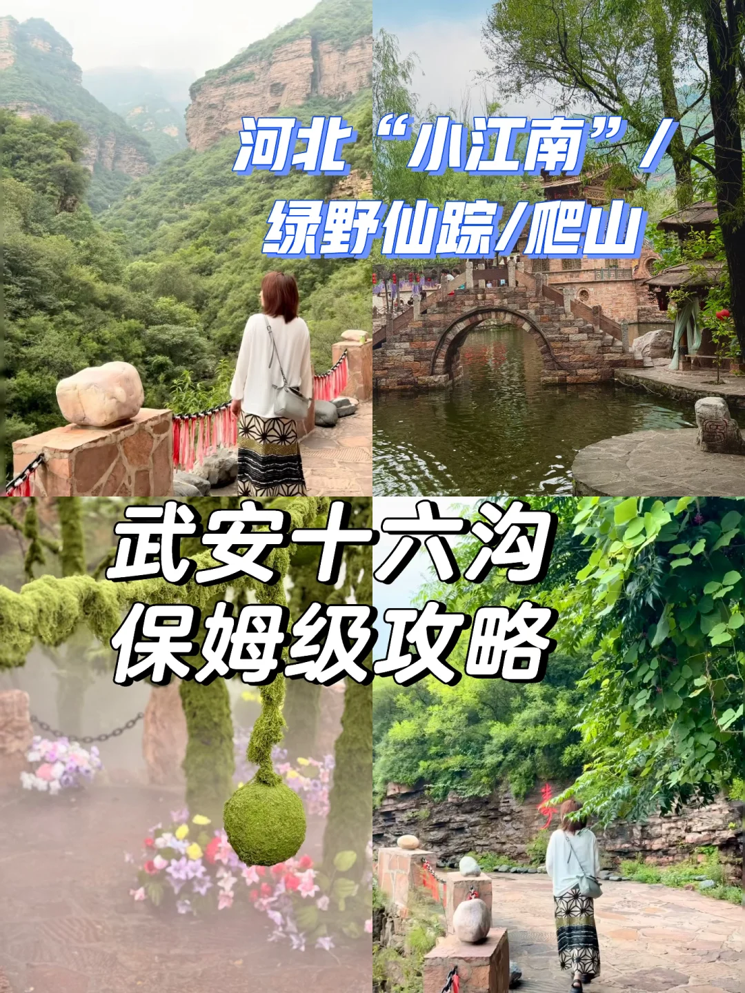 谁懂啊居然💰19.9解锁爬山+小江南+绿野仙踪