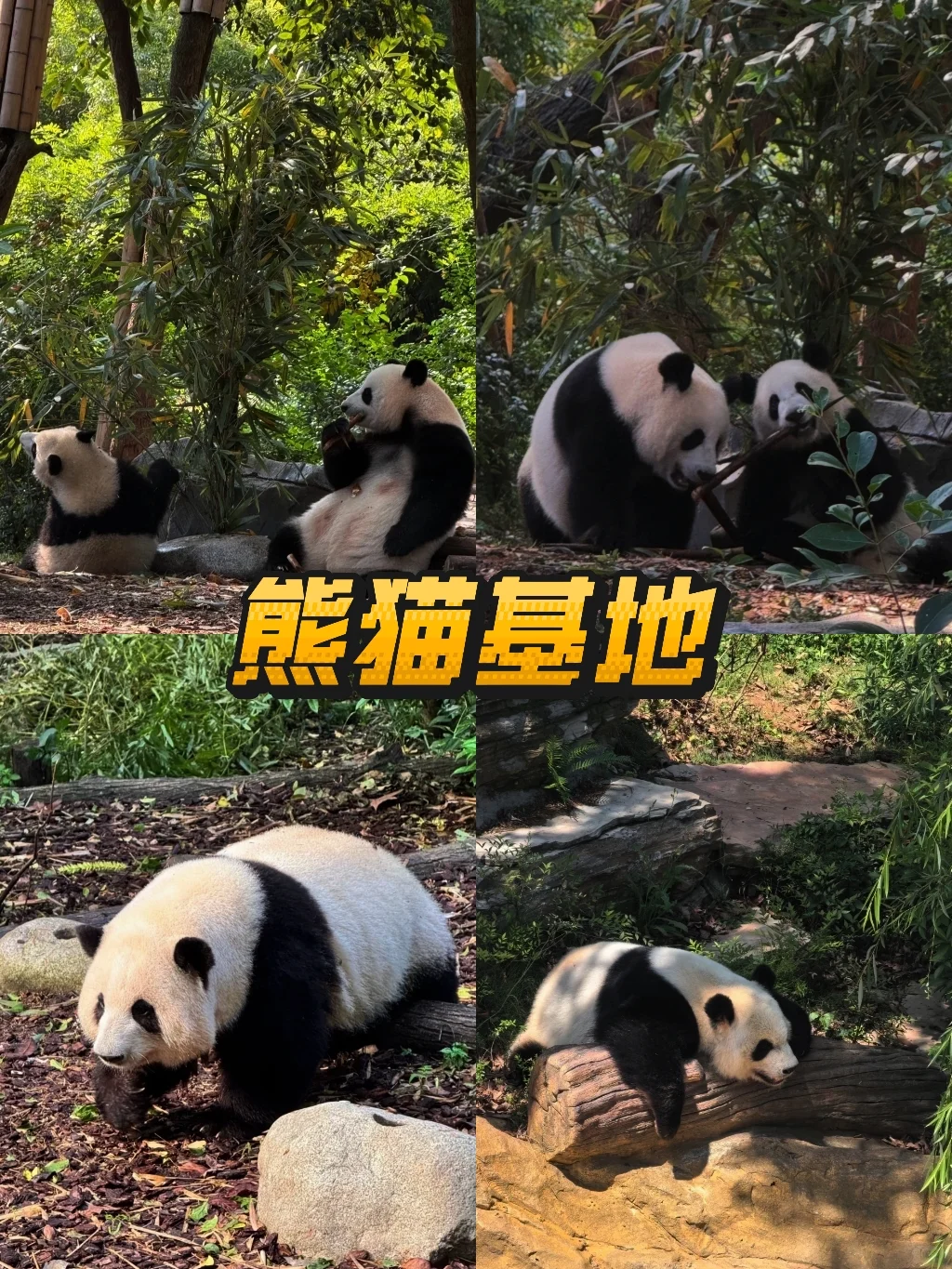 在成都怎么玩？