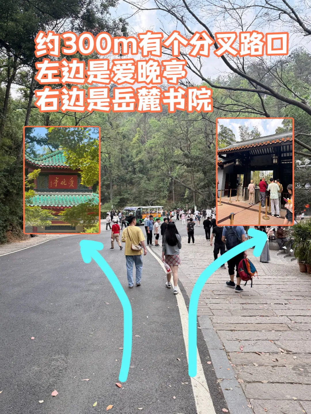 岳麓山南进难免爬山攻略