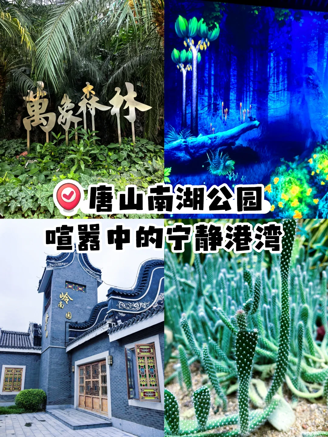 玩转唐山南湖公园！遛娃全攻略🚂