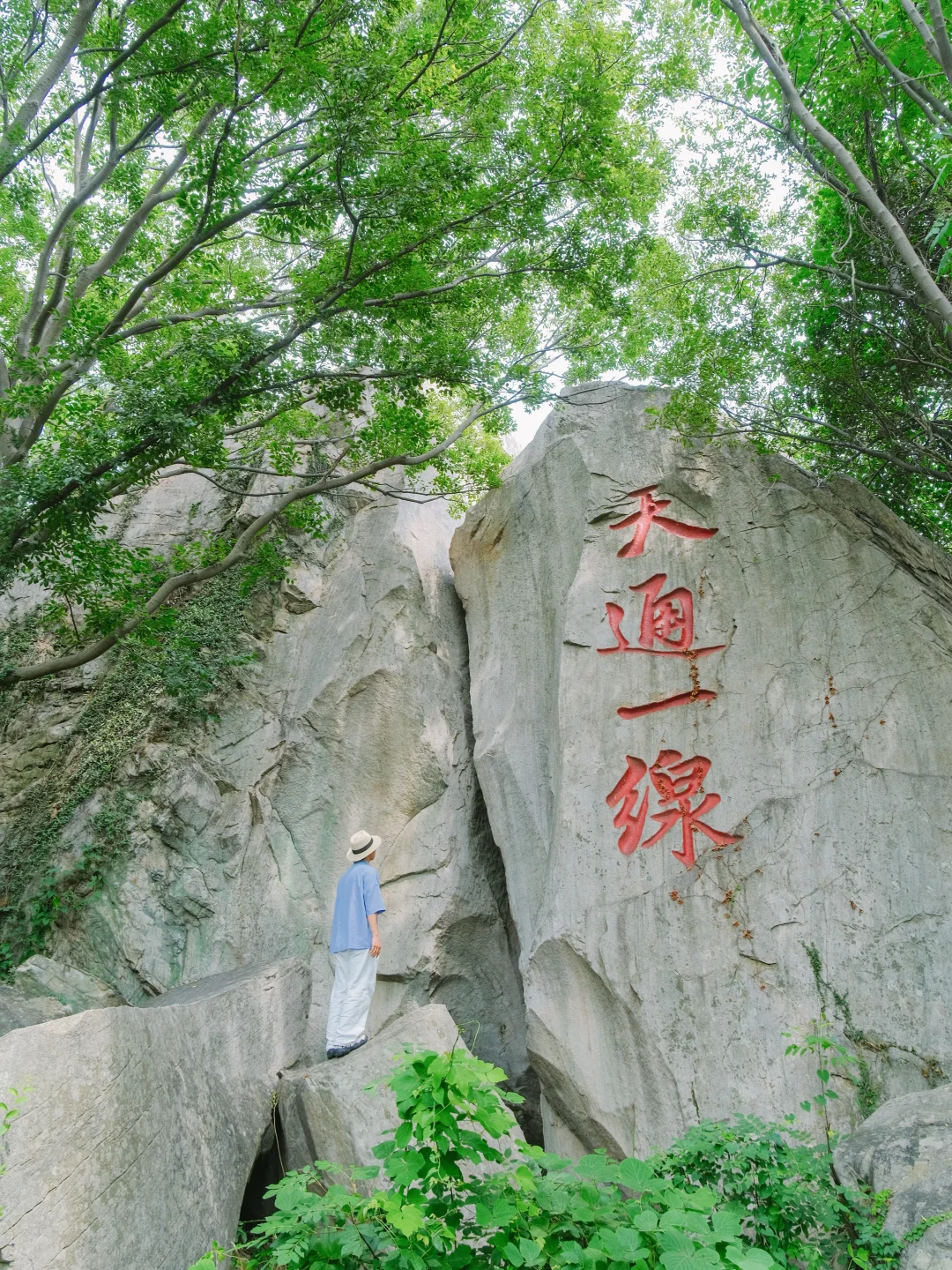 🍑花果山｜我在连云港闯入现实版西游记❗