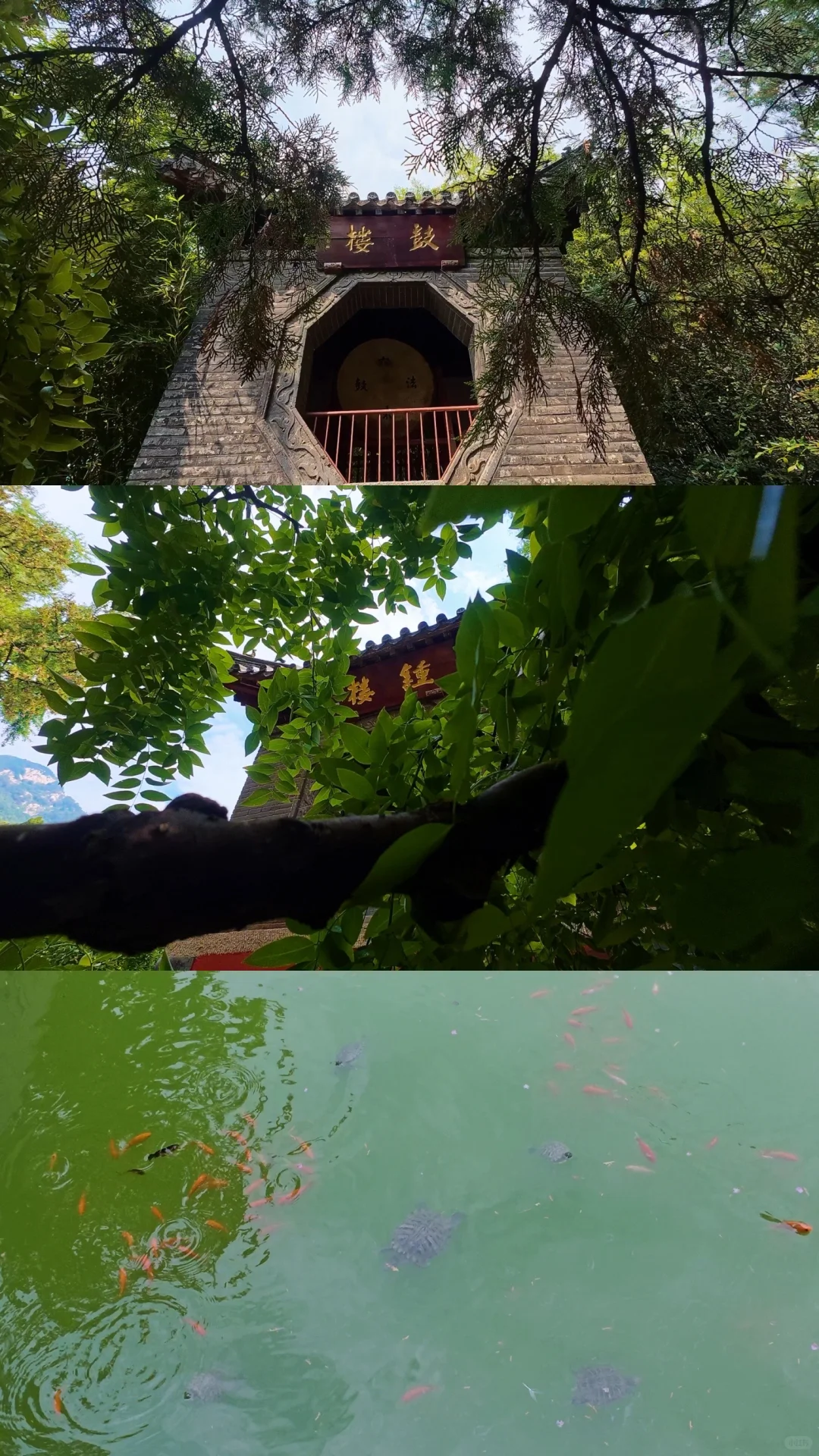 🌟【泰安旅游攻略】泰安除了泰山还有啥