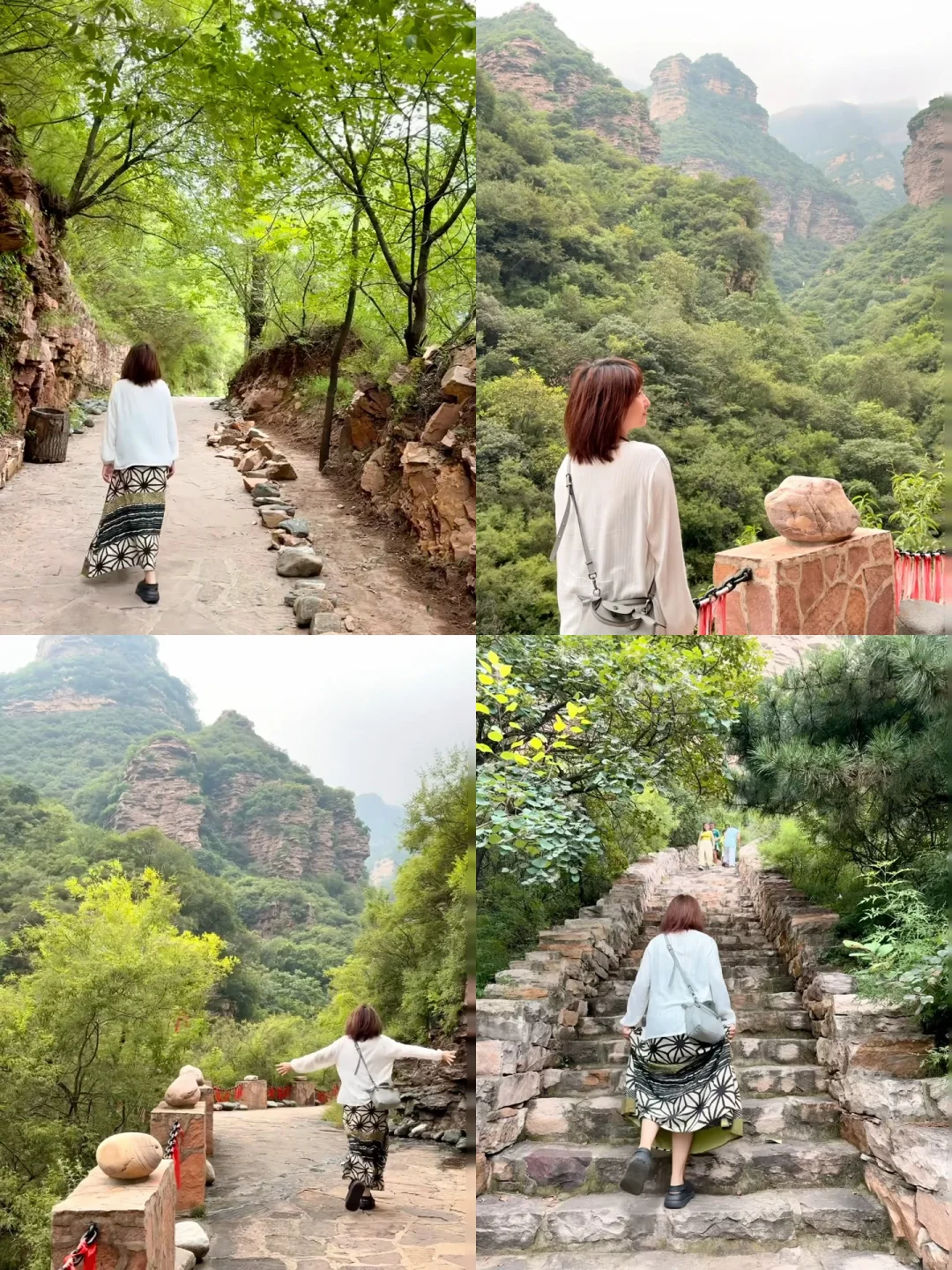 谁懂啊居然💰19.9解锁爬山+小江南+绿野仙踪