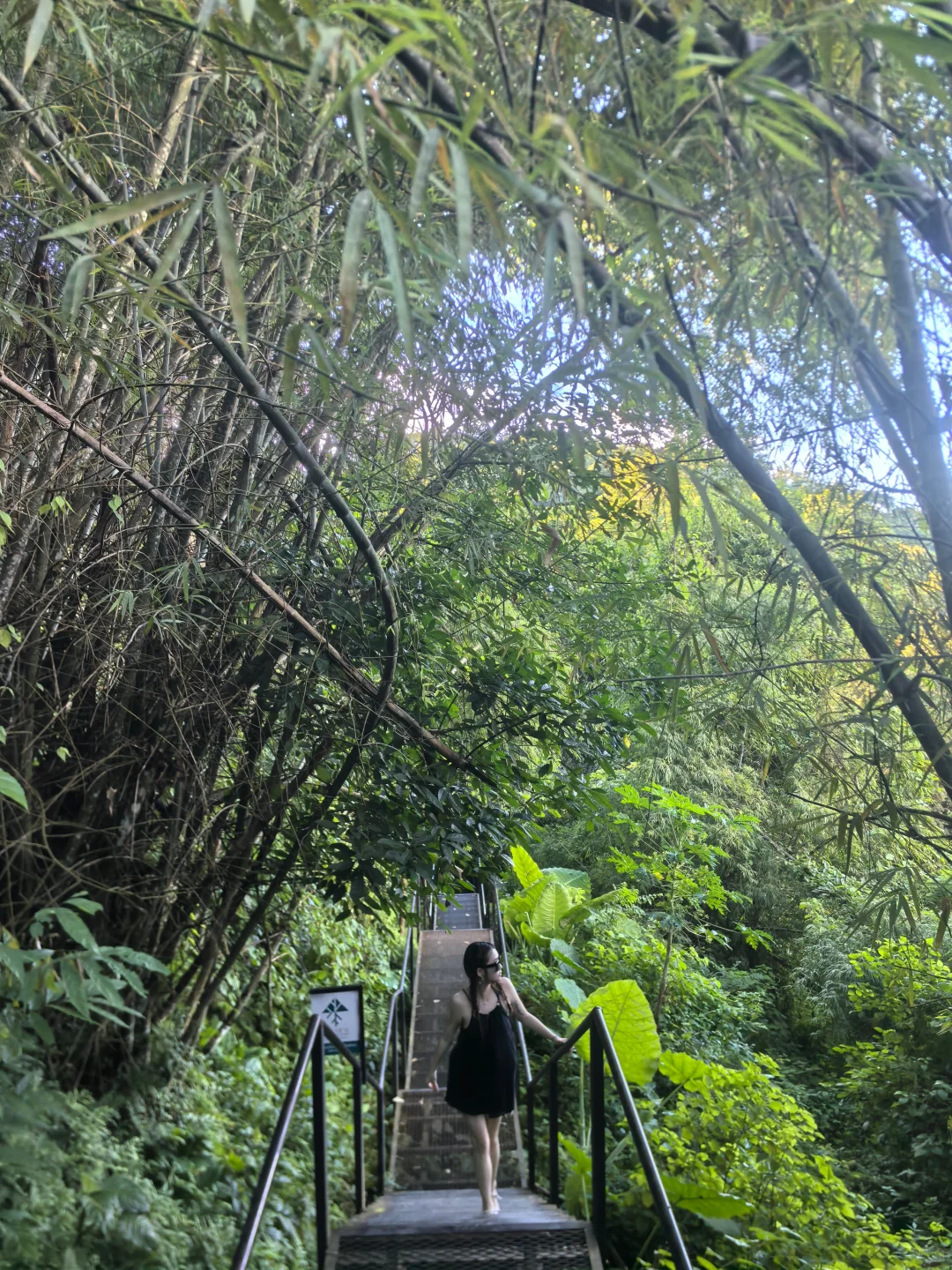 🌺 琅勃拉邦关西瀑布骑行攻略 | 小众自由