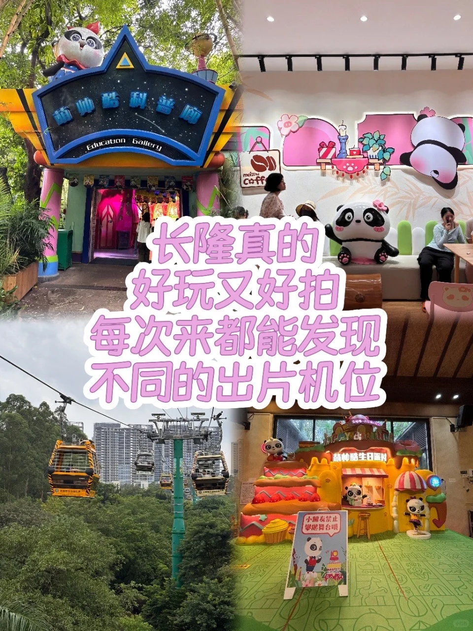 🐾长隆动物园省力攻略：北门进南门出✨