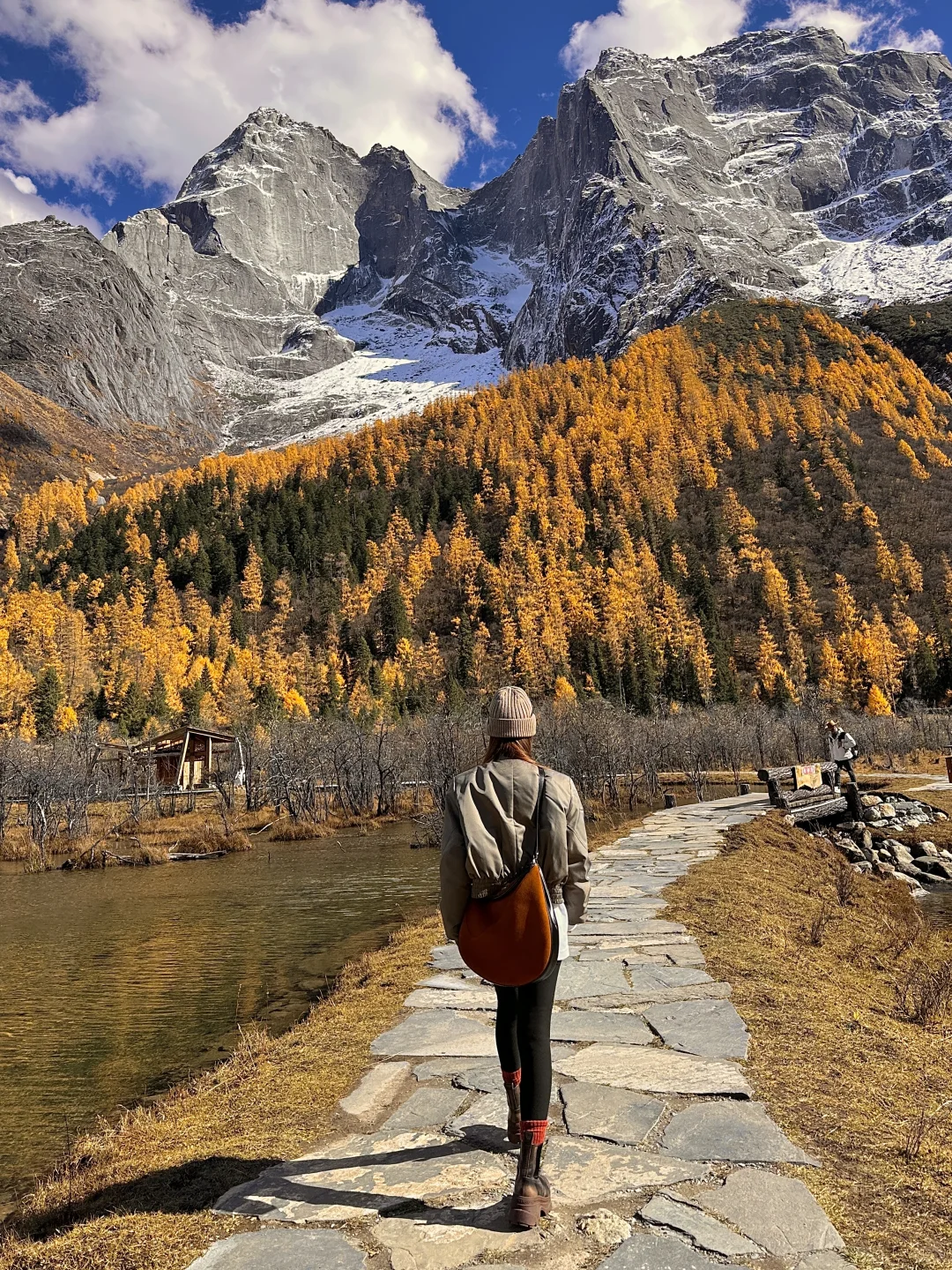 用live打开秋天🍂川西的浪漫是金黄的