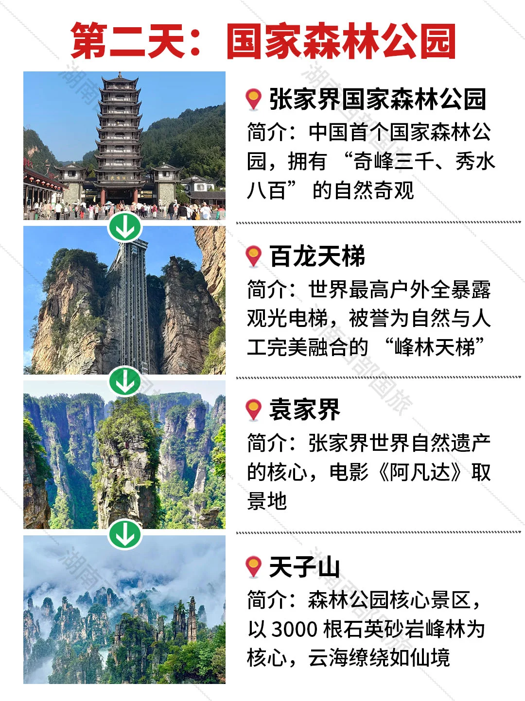 🔥张家界纯玩小团已回，能劝一个是一个