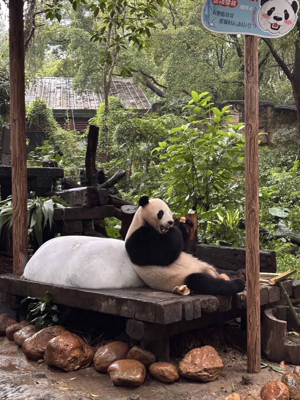 🐾长隆动物园省力攻略：北门进南门出✨