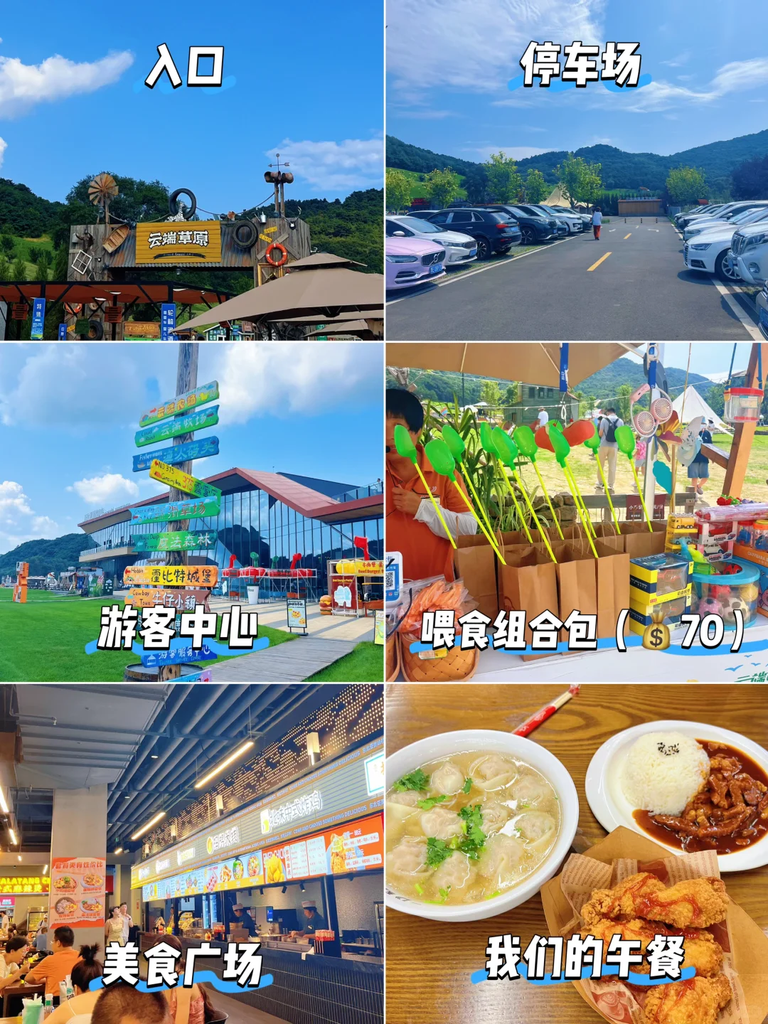 沈阳遛娃｜云端草原霍比特小屋！玩到不想走！